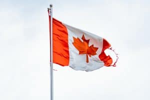 Certified Translator Canada