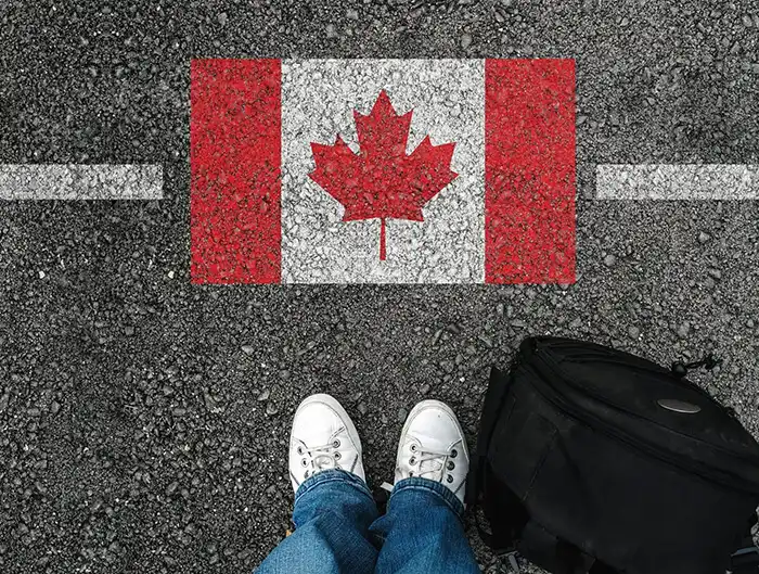 Immigration Translation Services