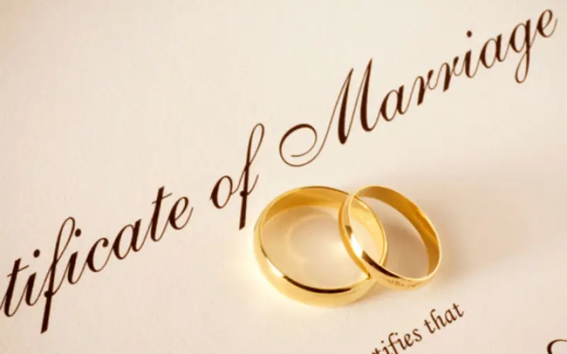 legal document translation