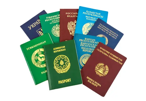 legal document translation