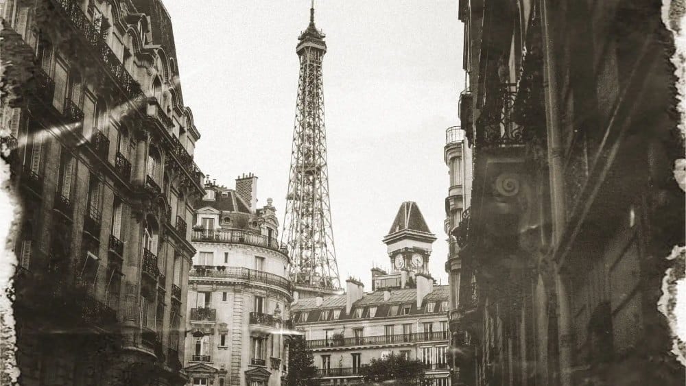 French Translation Services