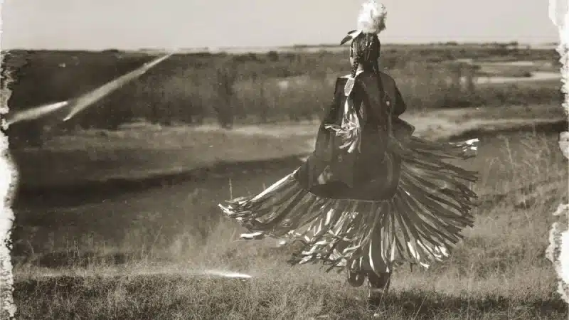 Indigenous Language Translation