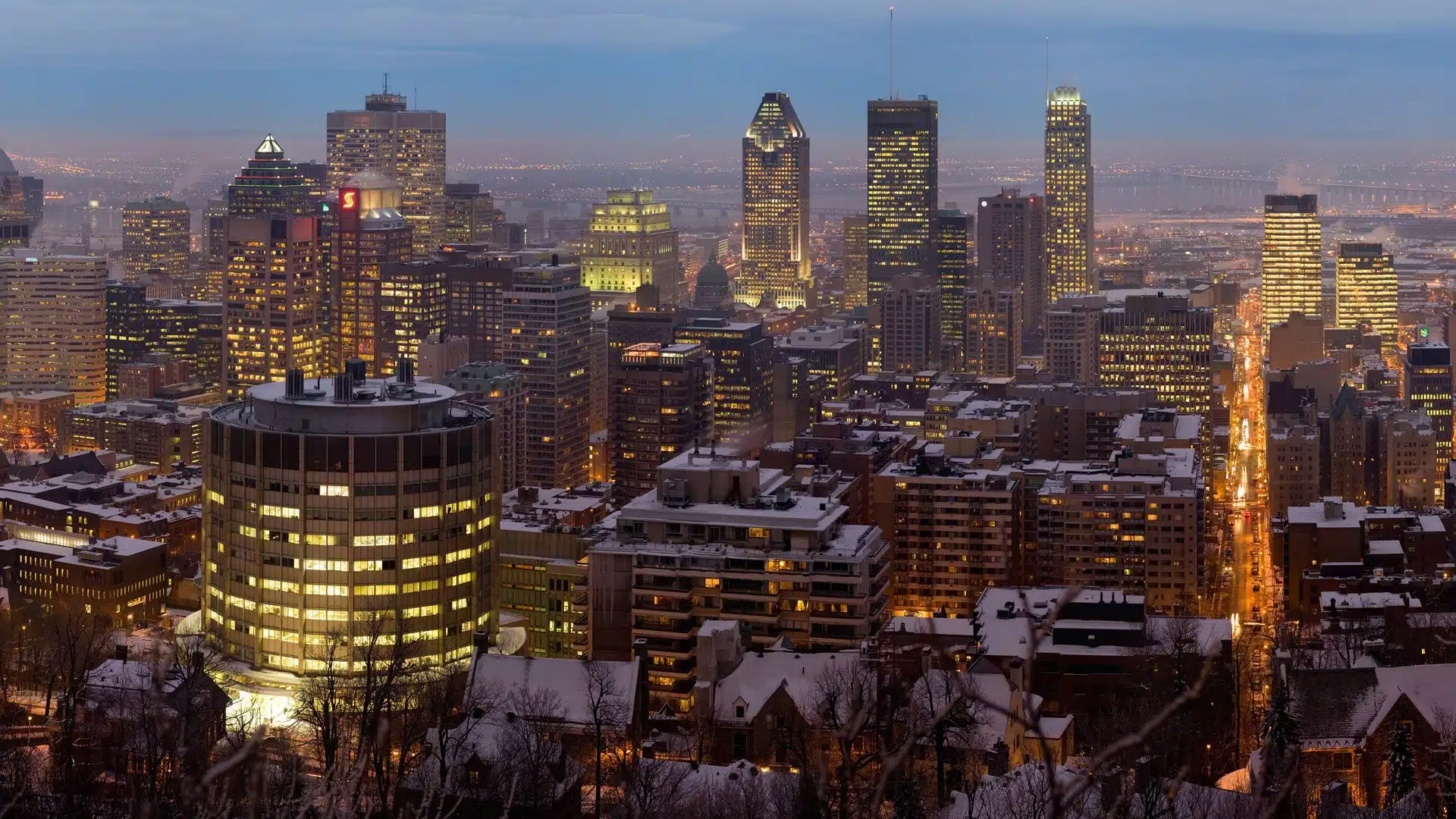 translation services montreal